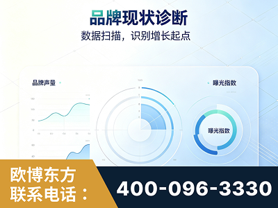 茫崖-品牌现状诊断
